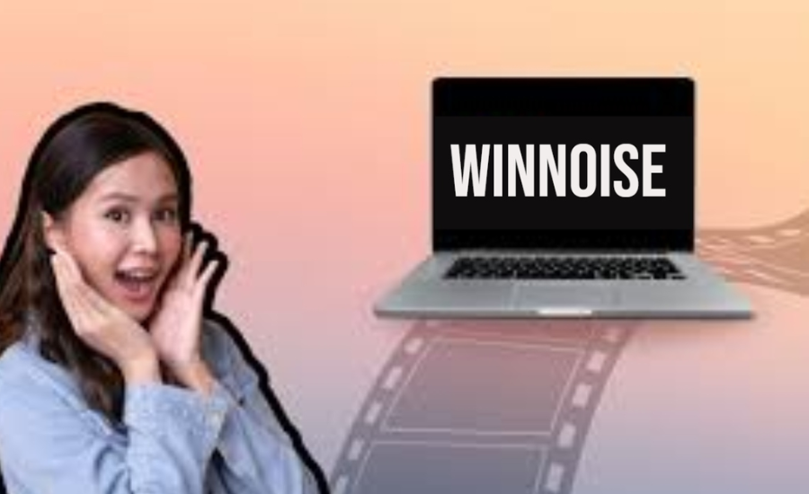 What Is Winnoise?