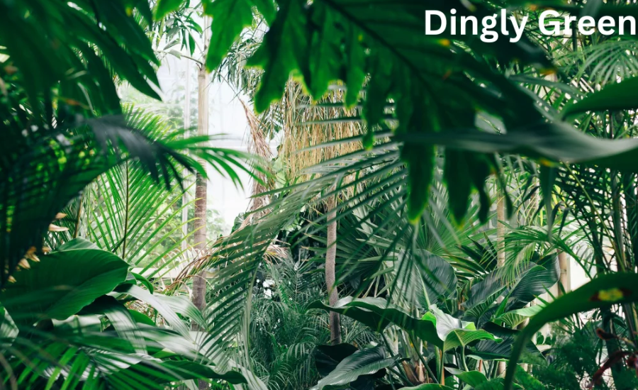 Discovering Dinglygreen: A Hidden Gem In The Countryside