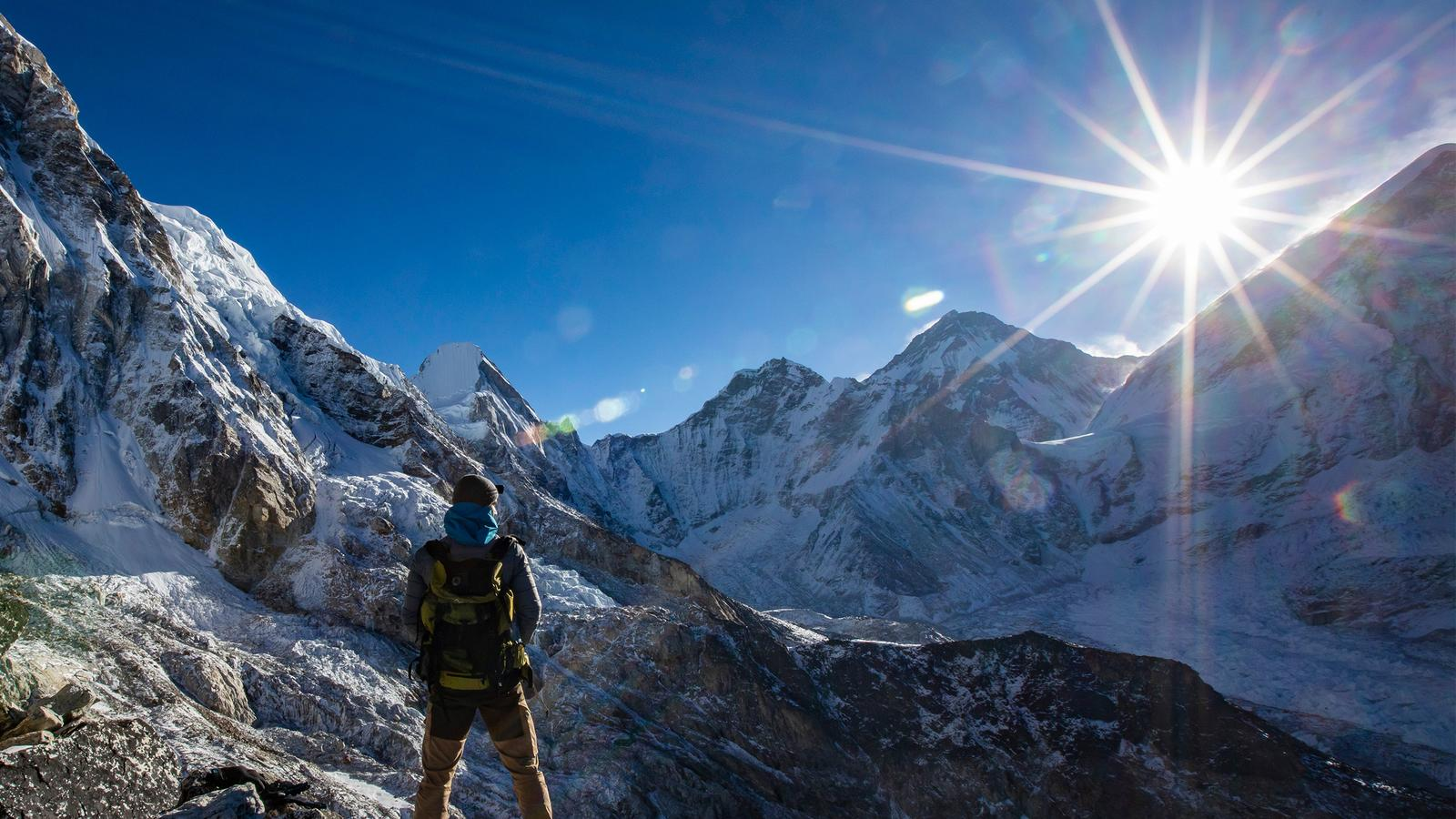 Himalayan