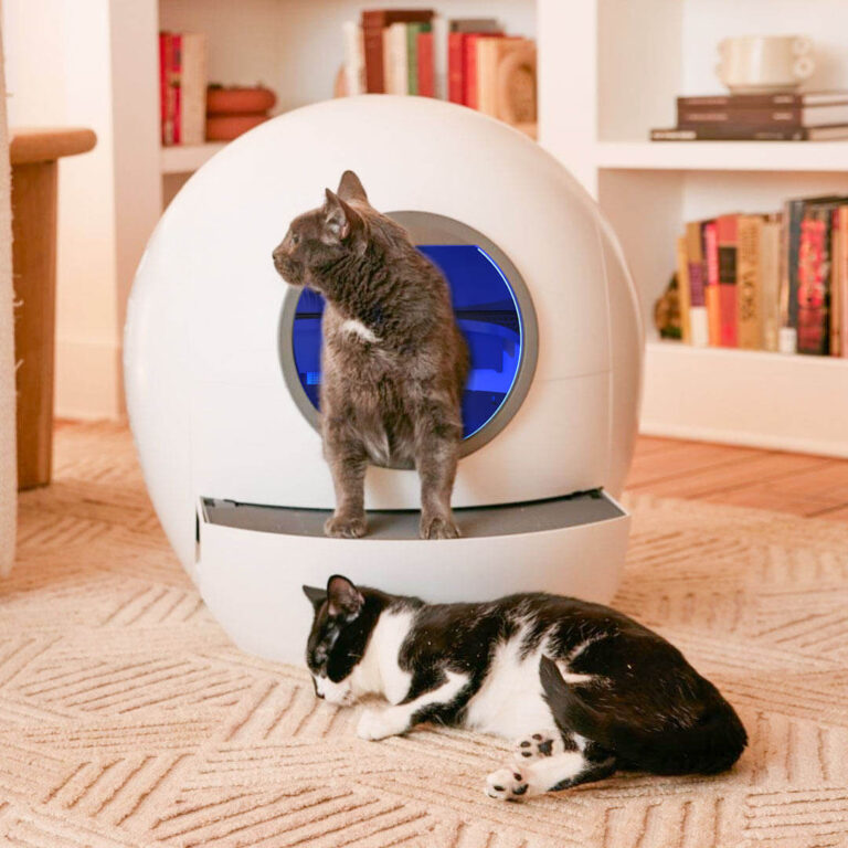 The Ultimate Litter Box for Multiple Cats: Features of the Els Pet Litter Box