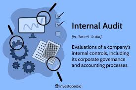 Comprehensive Overview of Internal Audits and Internal Checks